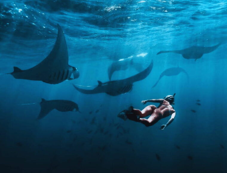 nusa-penida-snorkeling-at-manta-point-and-west-coast-tour