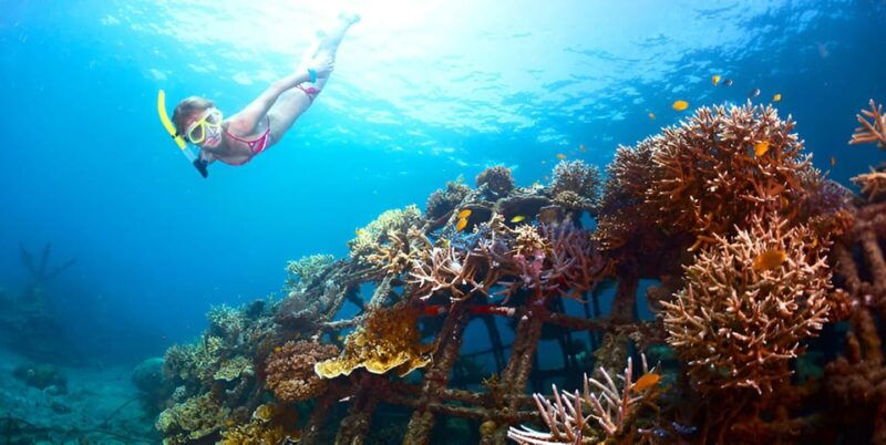 nusa-penida-snorkeling-tour-with-hotel-transfer-from-bali