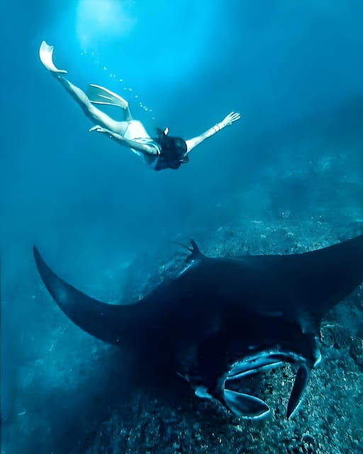 nusa-penida-snorkeling-tour-with-hotel-transfer-from-bali