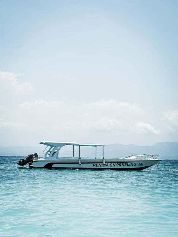 Nusa Penida: Snorkeling Tour with Manta Rays and Turtles - Safety and Equipment Considerations