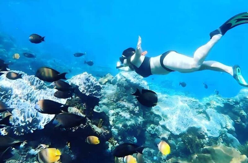 Nusa Penida: Snorkeling Tour with Manta Rays and Turtles - Who Would Love This Tour?