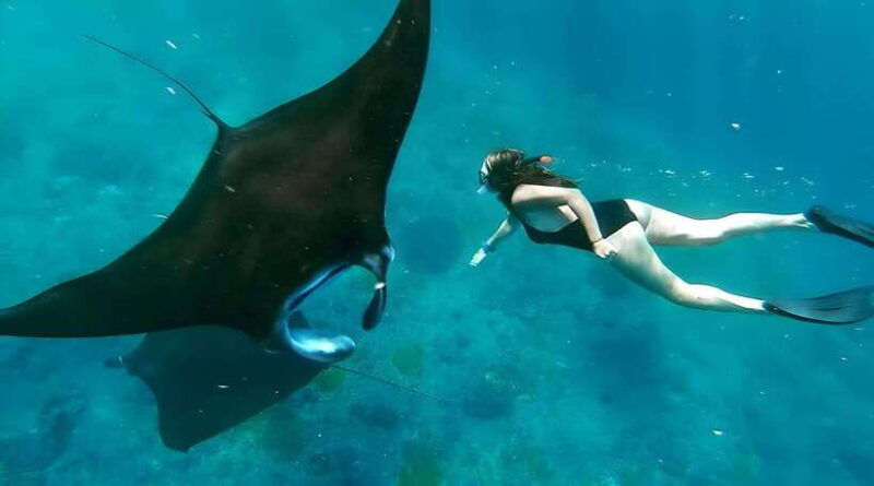 nusa-penida-snorkeling-tour-with-transfers-from-sanur