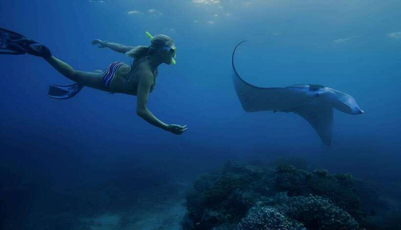 nusa-penida-snorkeling-trip-with-manta-rays-from-bali