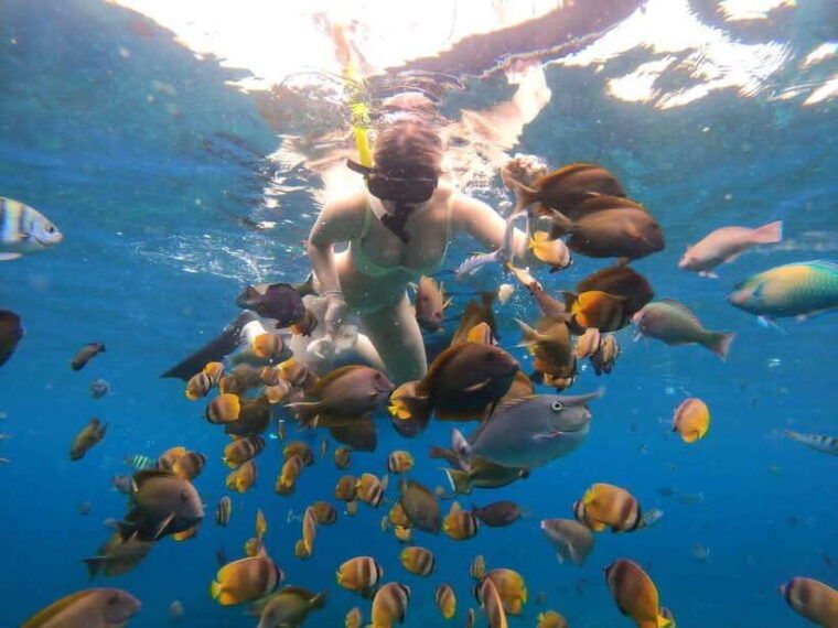nusa-penida-snorkeling-trip-with-manta-rays-from-bali