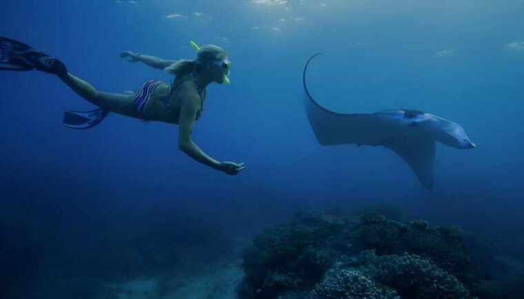 nusa-penida-snorkeling-trip-with-manta-rays-from-bali