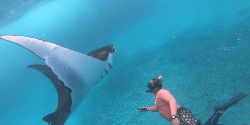nusa-penida-snorkeling-with-manta-rays-and-land-tour
