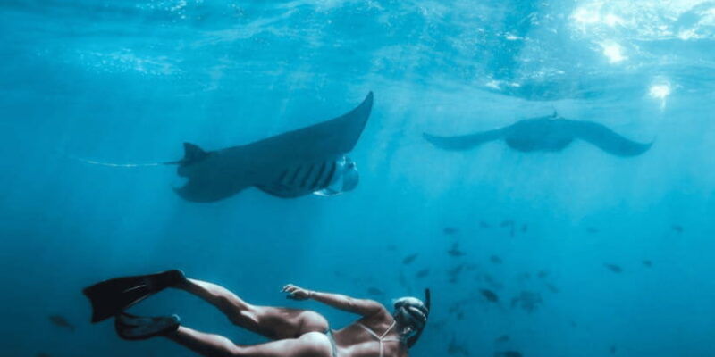 nusa-penida-snorkeling-with-manta-rays-and-land-tour