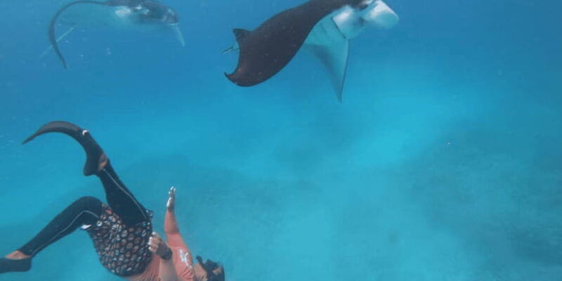 nusa-penida-snorkeling-with-manta-rays-and-land-tour