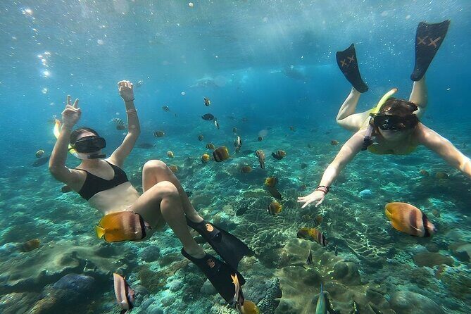Nusa Penida Special Trip Snorkeling with Manta Rays and Land Tour - Who Should Book This Tour?