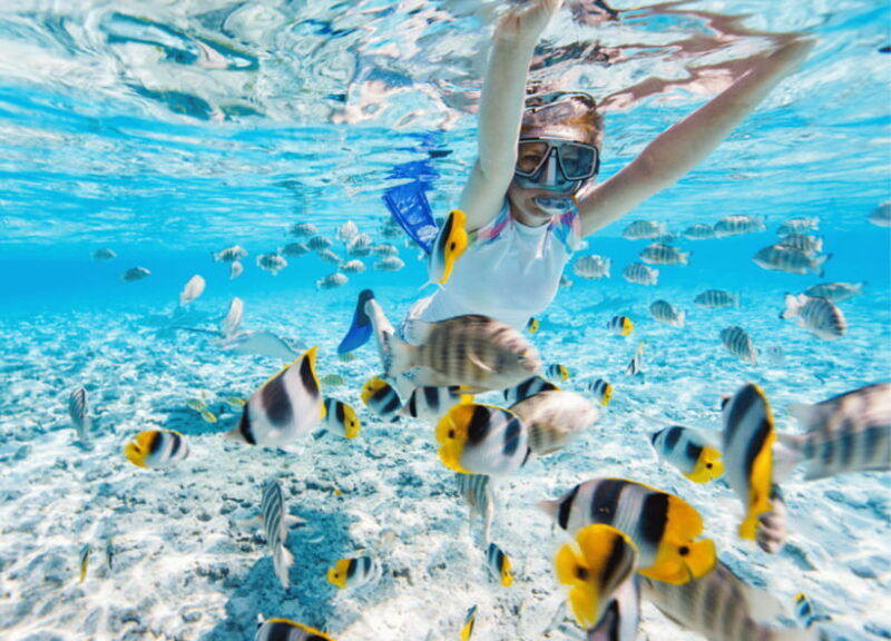 nusa-penida-spend-time-snorkeling-with-rays-and-turtles