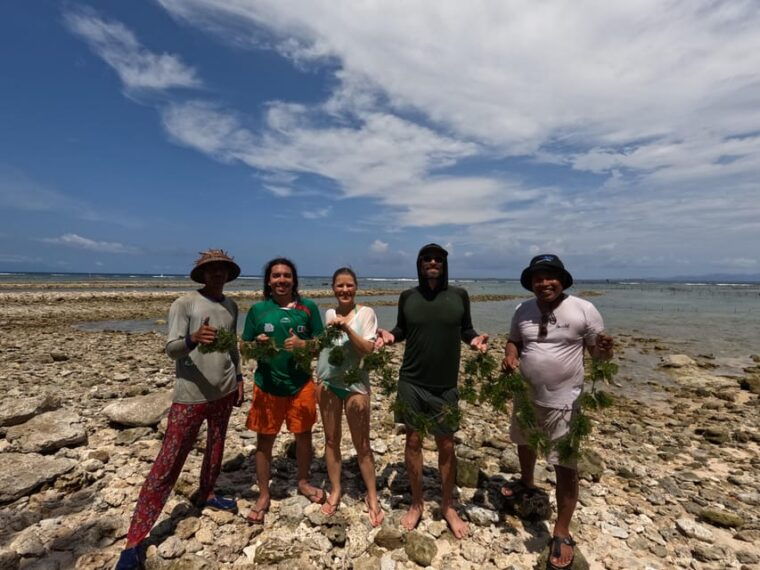 nusa-penida-sustainable-seaweed-farming-east-tour