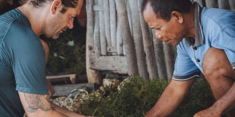 nusa-penida-sustainable-seaweed-farming-east-tour