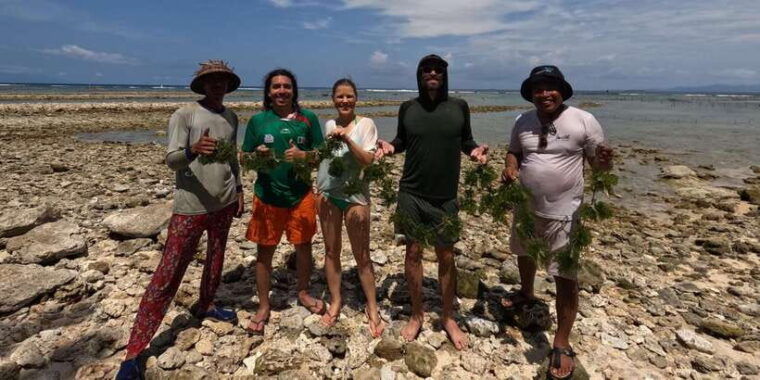 nusa-penida-sustainable-seaweed-farming-east-tour
