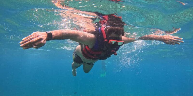 Nusa Penida Tour : Trip from Bali - Optional Bali Transfer - The Lunch Experience