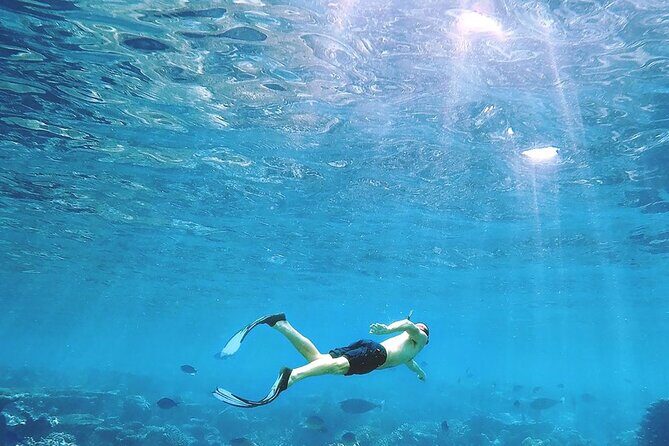 Nusa Penida West Full day Trip with Snorkeling - The Transport Experience