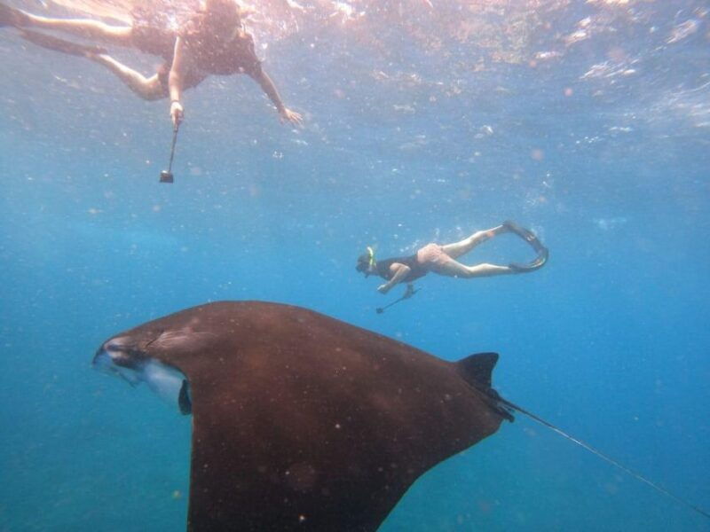 nusa-penida-west-island-day-tour-with-lunch-and-snorkelling