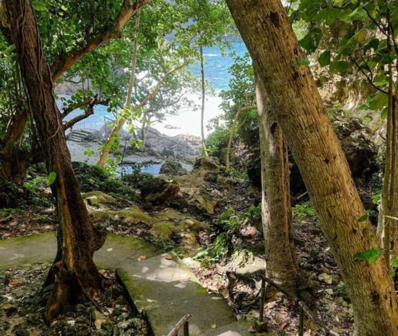 Nusa Penida: West Tour & Hidden Tembeling Pool - Key Points