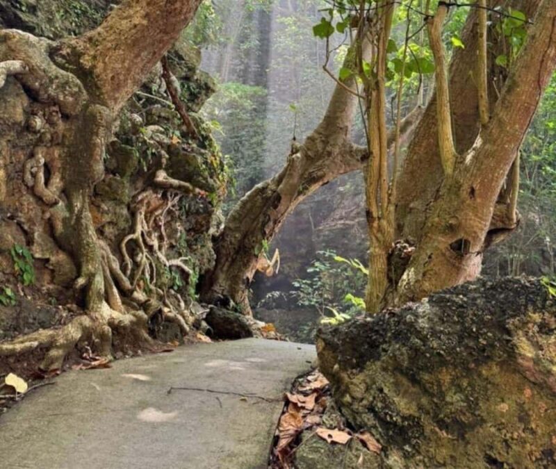 Nusa Penida: West Tour & Hidden Tembeling Pool - Authentic Insights from Reviewers