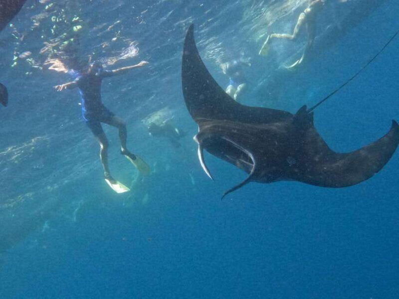 nusapenida-snorkeling-and-land-tour