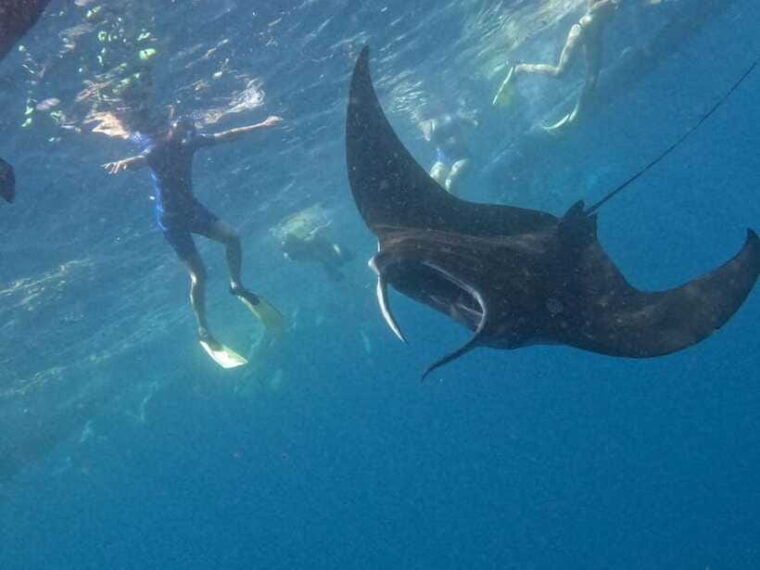 nusapenida-snorkeling-and-land-tour