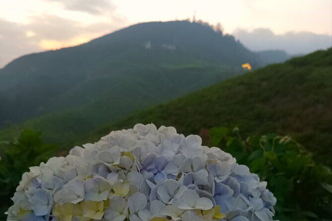 Nuwara Eliya City Tours Tuktuk - FAQs