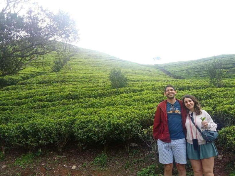 Nuwara Eliya Full day: 5Waterfalls, 2Tea Test & pick by TUK - FAQ