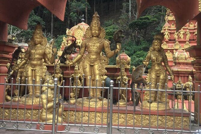 Nuwara Eliya Half Day Private Hiking and Sightseeing Tour - Exploring the Itinerary in Detail