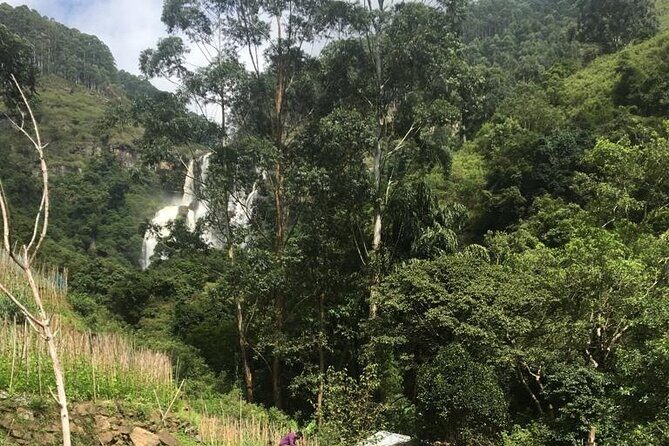 Nuwara Eliya Half Day Private Hiking and Sightseeing Tour - Practical Aspects and Logistics
