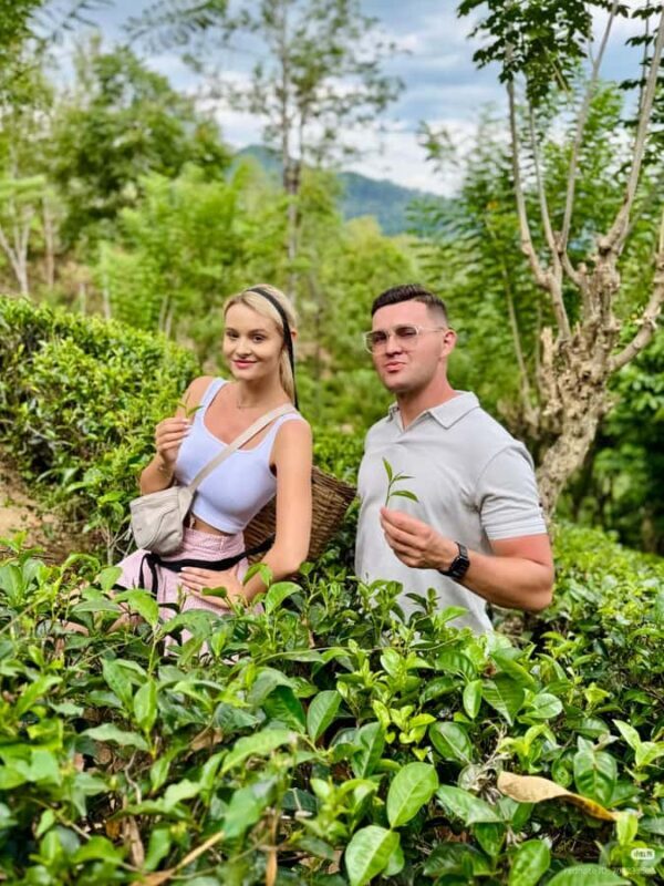 Nuwara Eliya: Hidden Falls & Tea A Local Journey Tuk Tuk - Why You’ll Love This Nuwara Eliya Adventure