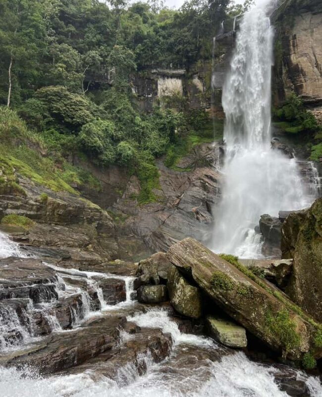Nuwara Eliya: Hidden Falls & Tea A Local Journey Tuk Tuk - The Sum Up