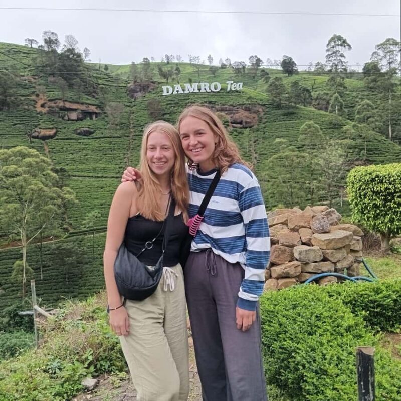 Nuwara Eliya Highlights: Tea, Coffee & Waterfalls - The Sum Up