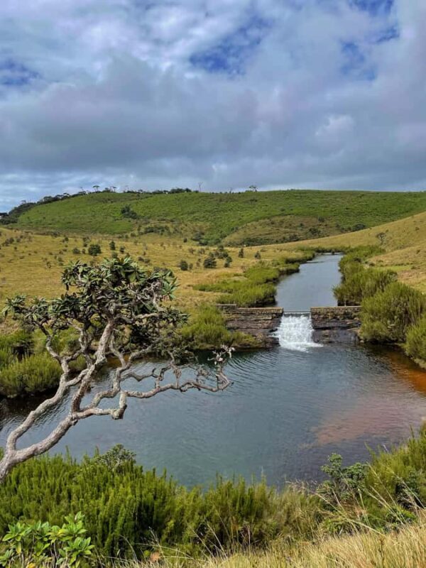 Nuwara Eliya: Horton Plains Guided Hike with Lunch - Key Points