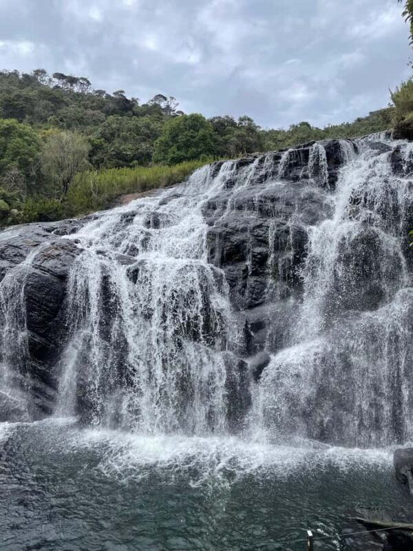 Nuwara Eliya: Horton Plains Guided Hike with Lunch - Why This Tour Offers Great Value