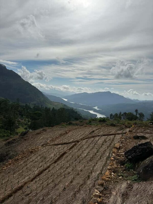 Nuwara Eliya: Premium Tea & Waterfall Tour - Private SUV - Final Thoughts