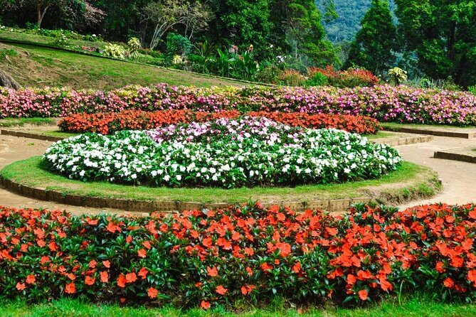 Nuwara Eliya Private Day Trip from Mirissa - The Sum Up