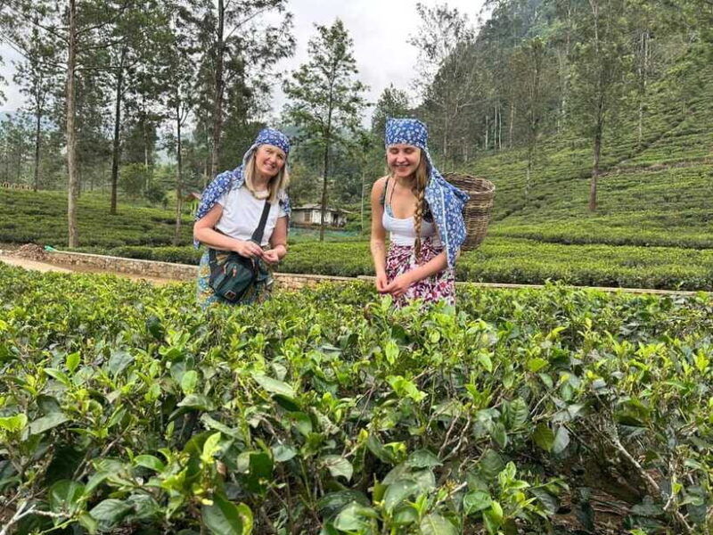 nuwara-eliya-private-sightseeing-tuk-tuk-tour