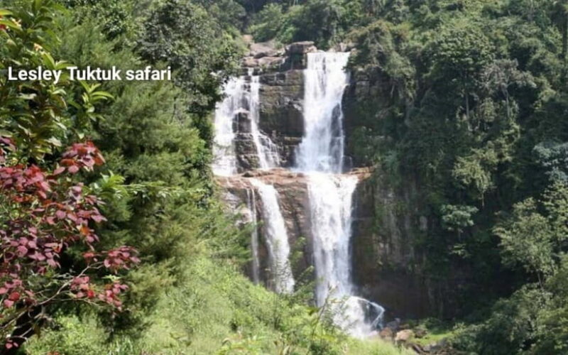 Nuwara Eliya: Sightseeing Tour and Drop With Local Guide - FAQ