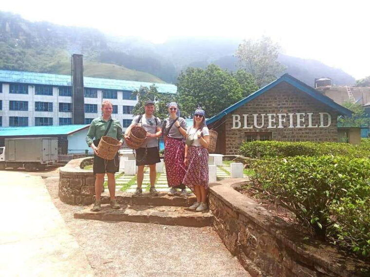 nuwara-eliya-tea-factory-and-pickle-waterfalls-tuk-tuk-tour
