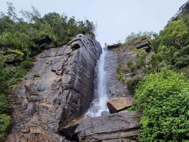 Nuwara Eliya Tea Plantation Hike with Village & Waterfall - A Closer Look at the Tour Itinerary