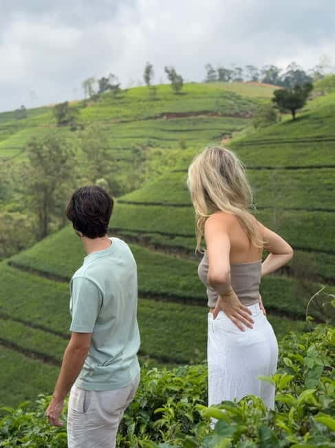 Nuwara Eliya Tea Visit & Ramboda Falls Tours with Taxis - What the Tour Includes and How It Works