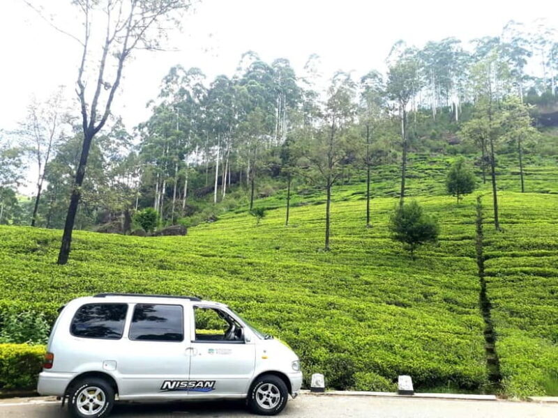 Nuwara Eliya Tea Visit & Ramboda Falls Tours with Taxis - Final Thoughts