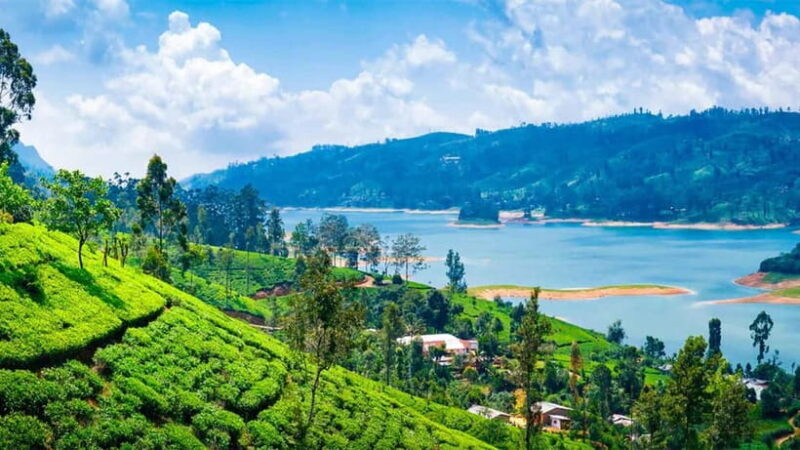 Nuwara Eliya to Kandy: Transfer with Waterfall & Tea Tour - Nuwara Eliya to Kandy: Transfer with Waterfall & Tea Tour