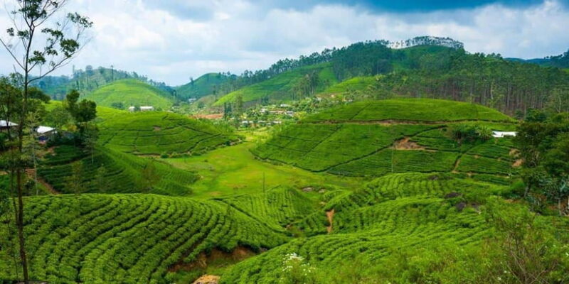 Nuwara Eliya Tour with Ramboda Waterfall, Ambuluwawa Tower - Final Thoughts