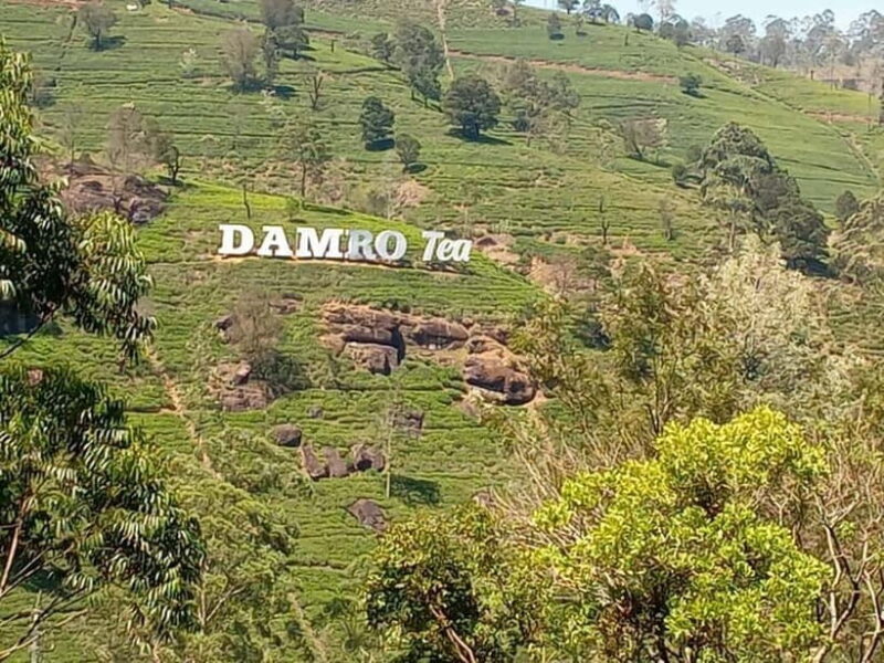 Nuwara Eliya Tuk Tuk Tour Little England - The Sum Up