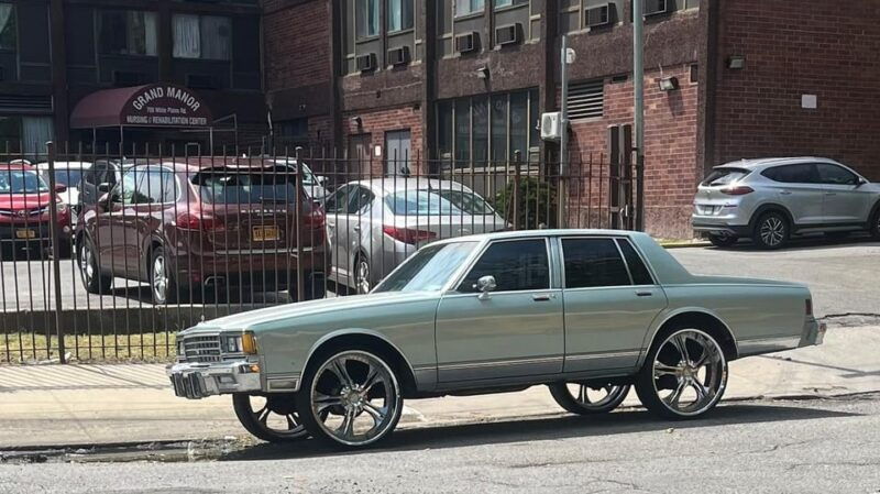 nyc-bronx-subway-and-walking-tour-with-bronx-little-italy