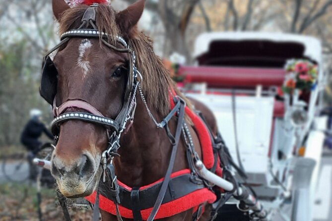 nyc-central-park-and-rockefeller-center-private-tour
