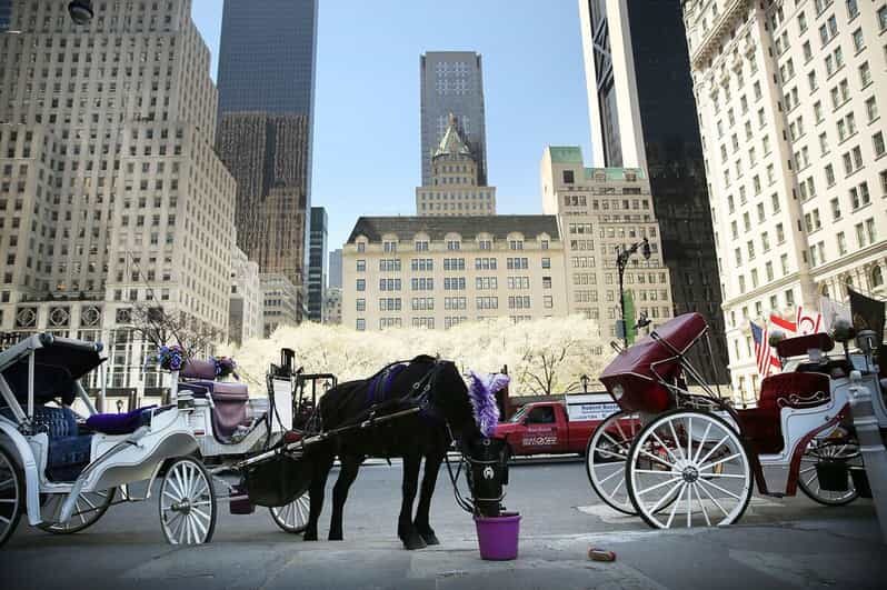 NYC: Central Park Christmas Lights Horse-Drawn Carriage Ride - An In-Depth Look at the Experience