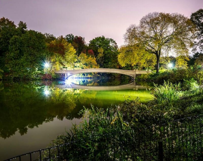 NYC: Central Park Christmas Lights Horse-Drawn Carriage Ride - FAQs