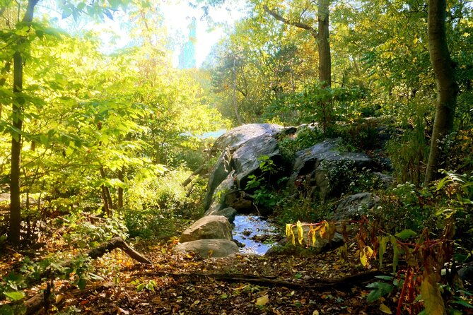 nyc-central-park-essential-guided-walking-tour