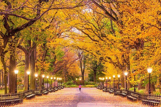 NYC Central Park guided Pedicab Tour - 1 hour - An Honest Look at the NYC Central Park Guided Pedicab Tour